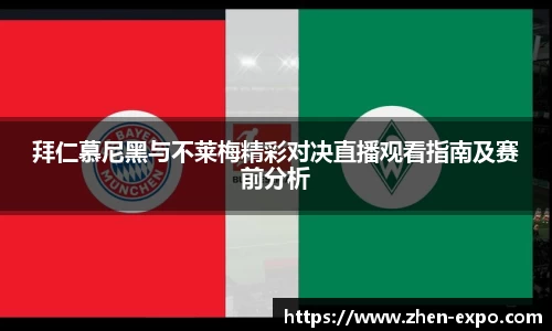 3377体育